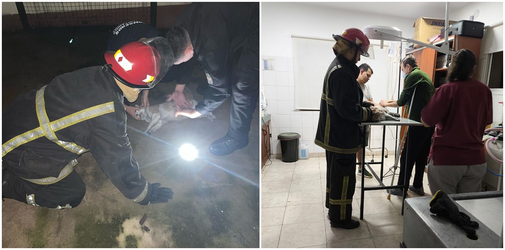bomberos rescate - 2