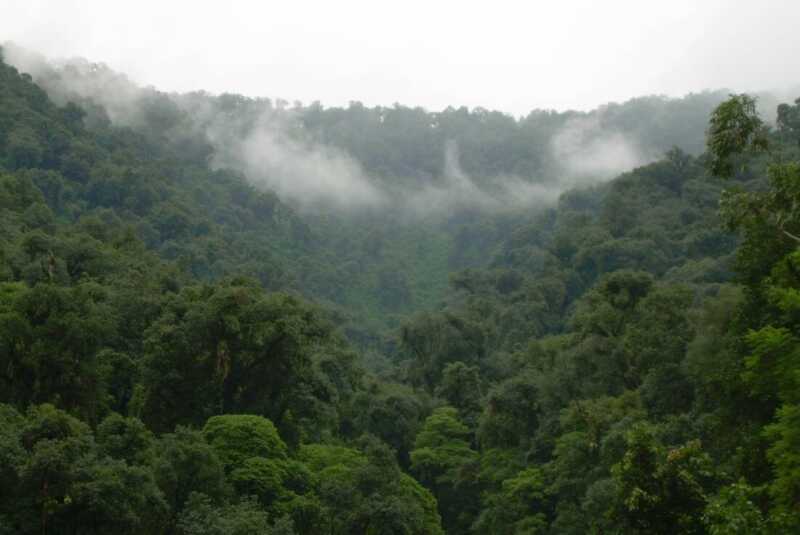 Misiones: abren convocatoria para financiar proyectos de conservación de bosques nativos 3 En la actual convocatoria, el Plan Estratégico Anual de la Provincia de Misiones —aprobado por la Autoridad Nacional de Aplicación (ANA)— establece como eje prioritario el “uso sustentable de la biodiversidad y fortalecimiento de áreas de conservación”