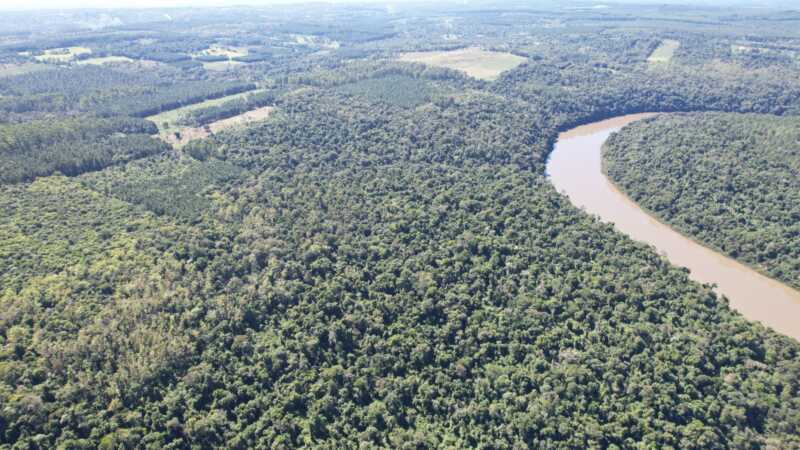 Misiones: abren convocatoria para financiar proyectos de conservación de bosques nativos 2 La Dirección General de Bosques Nativos del Ministerio de Ecología y Recursos Naturales Renovables de Misiones anunció la apertura de la convocatoria 2023/2024 para la presentación de planes y proyectos que aspiren a los beneficios del Fondo Nacional para el Enriquecimiento y Conservación de los Bosques Nativos (FNECBN)