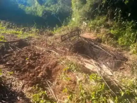 Comienza el juicio por femicidio contra un cacique guaraní en Misiones El abogado defensor Jorge Zabulanez sostuvo que no existen elementos probatorios que vinculen al caique Núñez con el asesinato, e insistió en que su cliente siempre negó haber ejercido violencia de género.