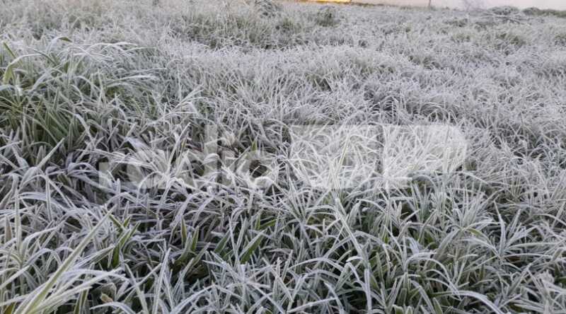 Misiones: alerta amarilla por frío extremo para este miércoles 25 capiovi heladass 3 1 - 1