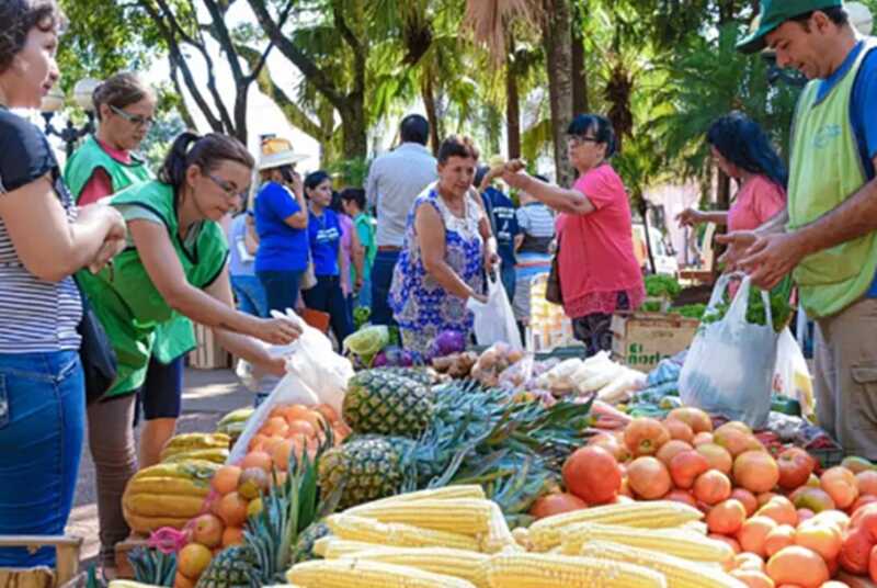 Productores de Misiones dejan de cultivar choclo por la falta de rentabilidad 2 Knebel vende su producción en las ferias francas de Posadas, como las de Villa Cabello y el Concejo Deliberante en Misiones.