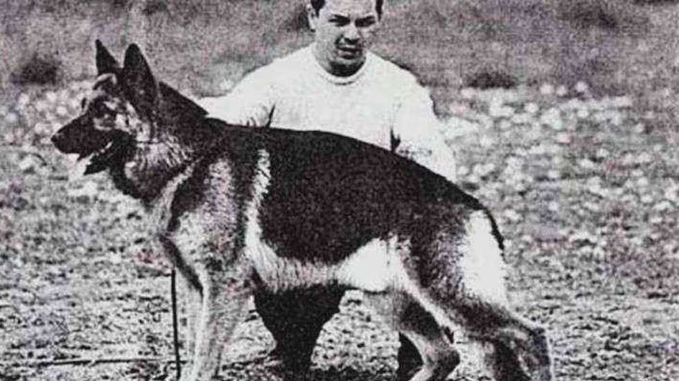 Día Nacional del Perro: homenaje al héroe canino Chonino 3 chonino dia del perro - 2