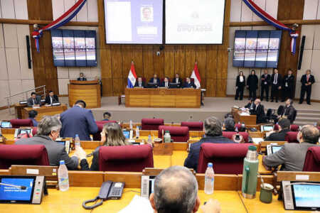diputados del paraguay - 7
