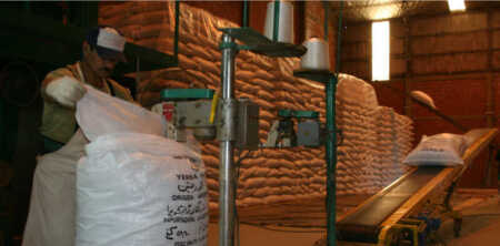 exportaciones yerba - 1