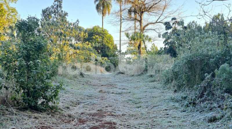 En San Vicente, la temperatura mínima prevista es de -1 °C, con una sensación térmica de -5 °C, mientras que Puerto Iguazú registrará la máxima más elevada, con 13 °C.