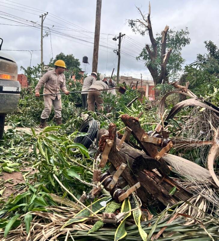 Temporal en Puerto Iguazú: sin precedentes los daños al servicio eléctrico, pero ya se restableció el 70% de la red 5 Los trabajos de recuperación continúan con foco en las líneas de baja tensión y tendidos domiciliarios en Iguazú, tareas que demandarán varios días más.
