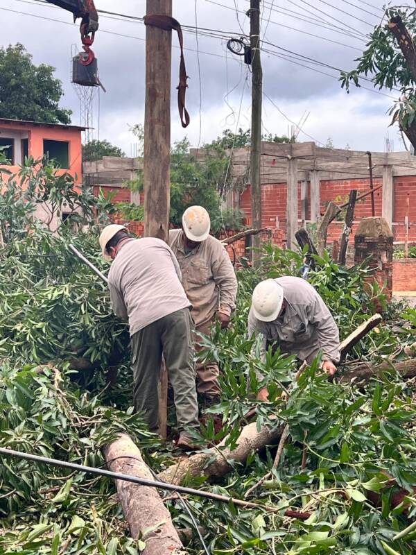 Temporal en Puerto Iguazú: sin precedentes los daños al servicio eléctrico, pero ya se restableció el 70% de la red 4 El temporal en Iguazú provocó más de 30 postes caídos, incluyendo postes de hormigón de hasta 12 metros, que sucumbieron por el impacto de estructuras arrancadas por los vientos.