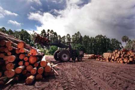 La actividad económica cayó 0,3% en noviembre y encadenó su segundo mes consecutivo en baja Pese al crecimiento del sector financiero y del agro, la actividad económica no logró evitar una nueva caída mensual en noviembre, según el EMAE.
