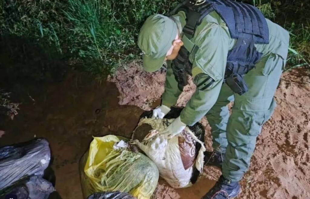 Eldorado: Gendarmería decomisó casi 1.000 kilos de marihuana a orillas del río Paraná marihuana - 1