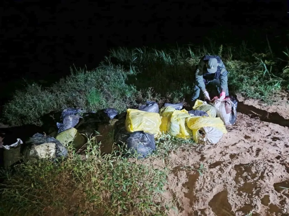 Eldorado: Gendarmería decomisó casi 1.000 kilos de marihuana a orillas del río Paraná 3 md 3 - 2
