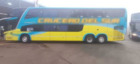 muerte colectivo 1 - 1