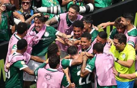 palmeiras
