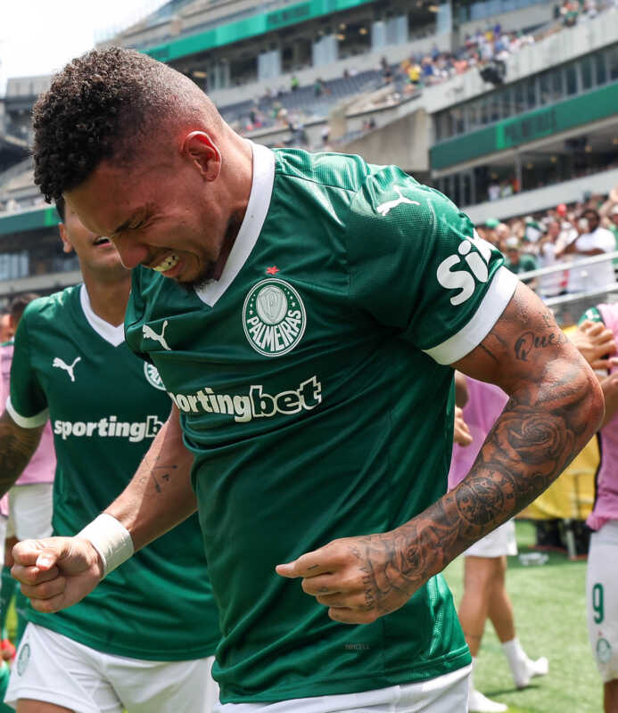 El tanto decisivo para Palmeiras fue obra de Paulinho, extremo izquierdo que ingresó desde el banco en la segunda mitad.
