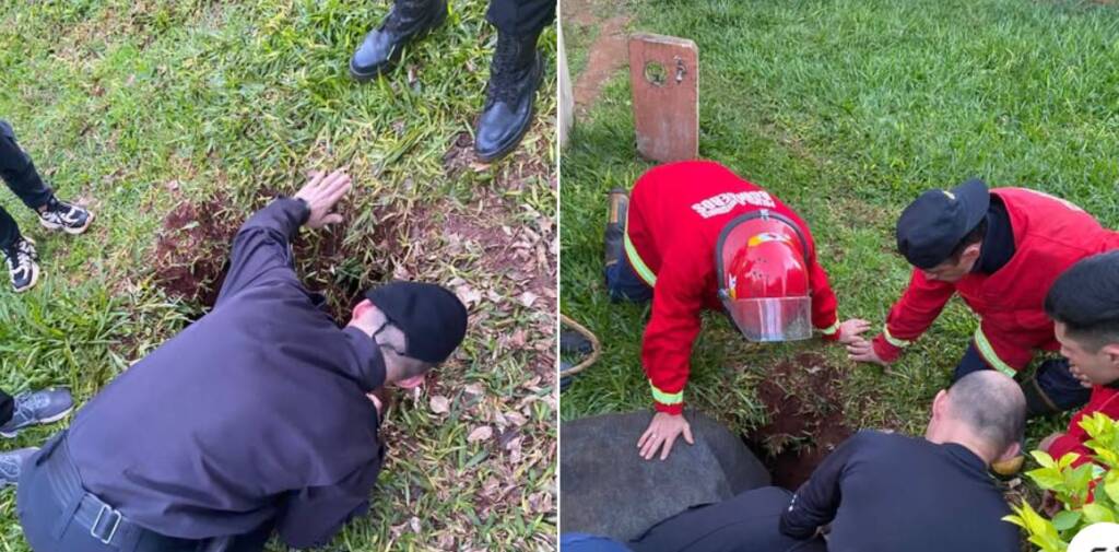 Apóstoles: rescatan a perro labrador que cayó a un pozo y estuvo 5 días hasta que lo hallaron perro 2 - 1