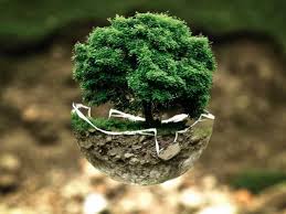 Somos Naturaleza: reflexiones en torno al agua y al planeta vivo 7 "No intercambiamos con otros planetas todas estas cosas que tenemos en la Tierra. El concepto
de Cajita se refiere a algo hermético, que no permite el intercambio con el afuera."