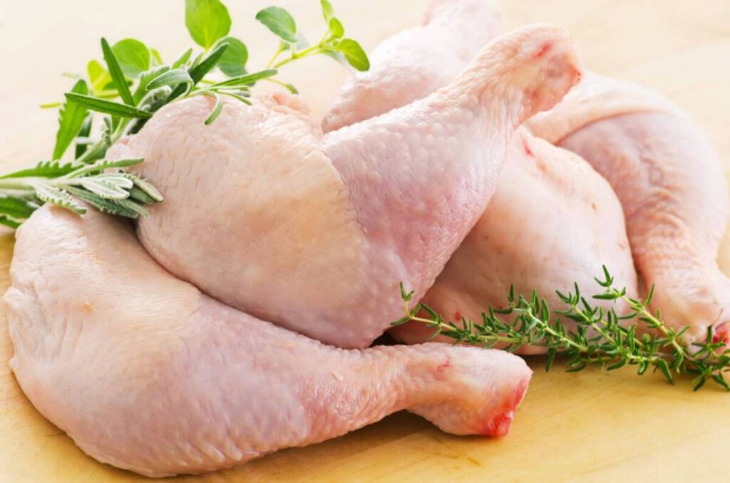 pollo - 1