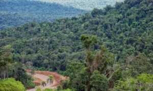 El sitio, de difícil acceso, está ubicado camino a la reserva de la Biosfera Yabotí, en jurisdicción del municipio de San Pedro. mocona