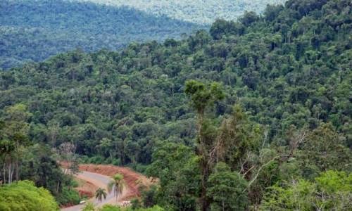 Misiones avanza con un plan clave para recuperar la población de yaguaretés en la Reserva Yabotí 3 El sitio, de difícil acceso, está ubicado camino a la reserva de la Biosfera Yabotí, en jurisdicción del municipio de San Pedro.