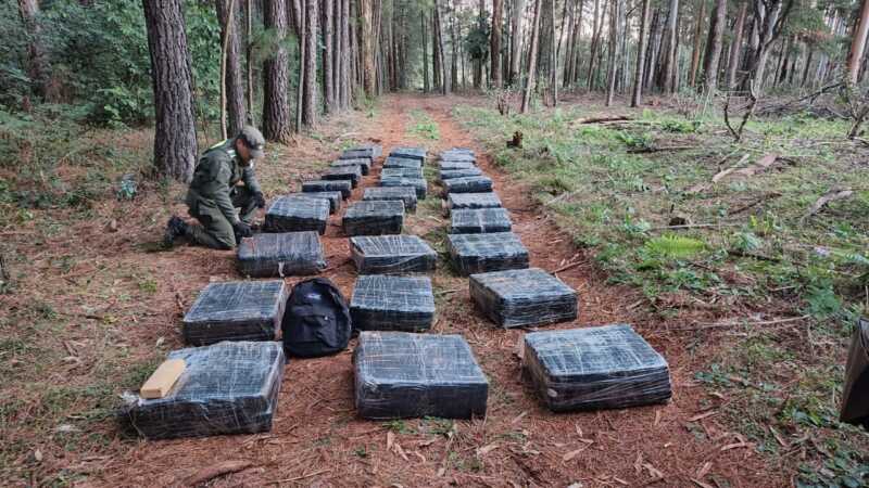 Hallazgo de droga tras huida de un hombre en Puerto Rico: Más de 1.140 kg de marihuana secuestrados 1 Droga