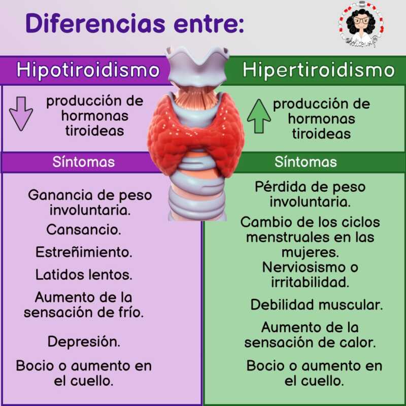 Tiroides y frío: ¿por qué algunas personas lo sienten más? 5 GLLr AVWYAAnzg2 - 4