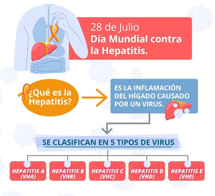 Aumentan los casos de hepatitis A y B en Argentina: la cifra ya superó lo registrado en 2024 4 28 de julio dia mundial contra la hepatitis