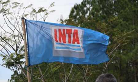 INTA