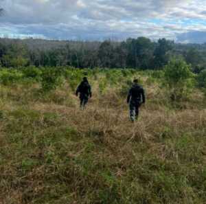 Imagen de WhatsApp 2025 07 29 a las 11.44.35 404cf8c9 e1753821568484 - 1