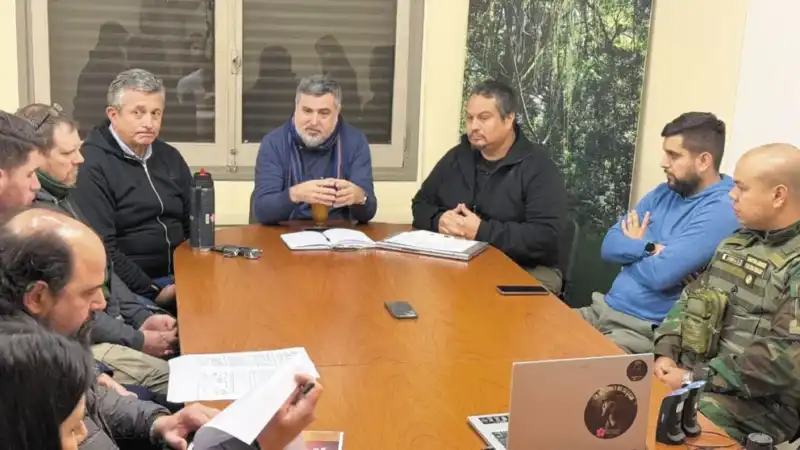 Denunciaron a una veterinaria de Oberá por vender cotorras verdes y reavivan el debate legal 6 Pereyra pigerl 1 - 5