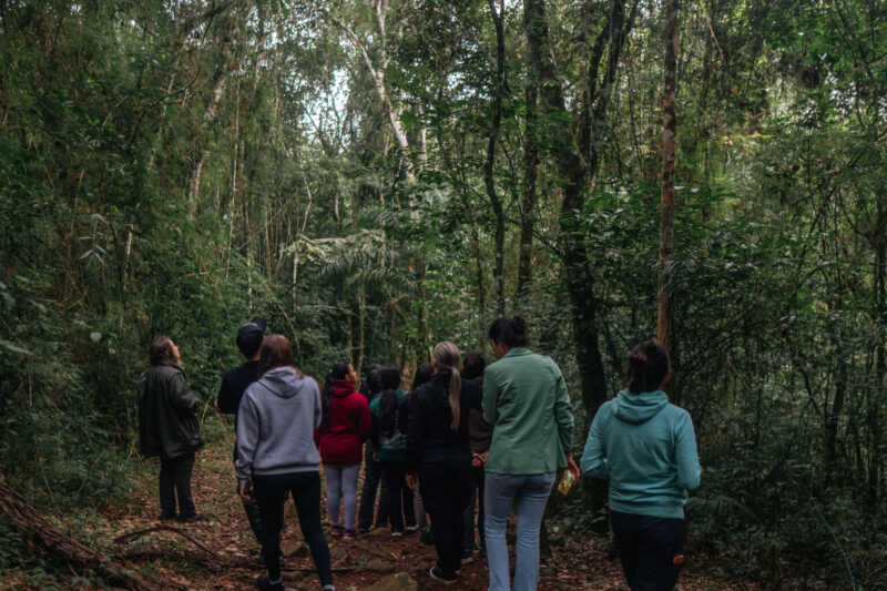 Volar 2025: el encuentro internacional se llevará en Iguazú 