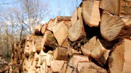 FAIMA reunió al sector maderero en Virasoro: “estamos en una situación compleja" FAIMA