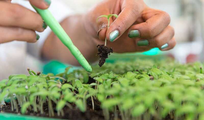 La revolución verde llega al agro: "El 80% de las empresas de Casafe ya produce insumos biológicos" 3 WhatsApp Image 2025 07 03 at 11.57.34 1 - 2