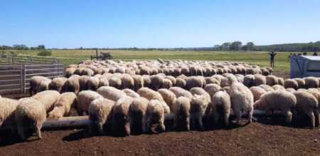 el campo reclama