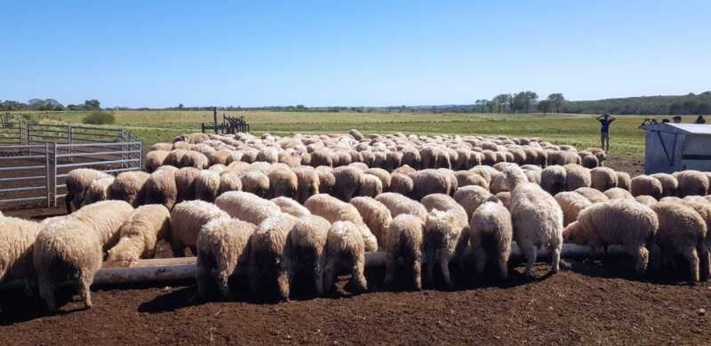 el campo reclama