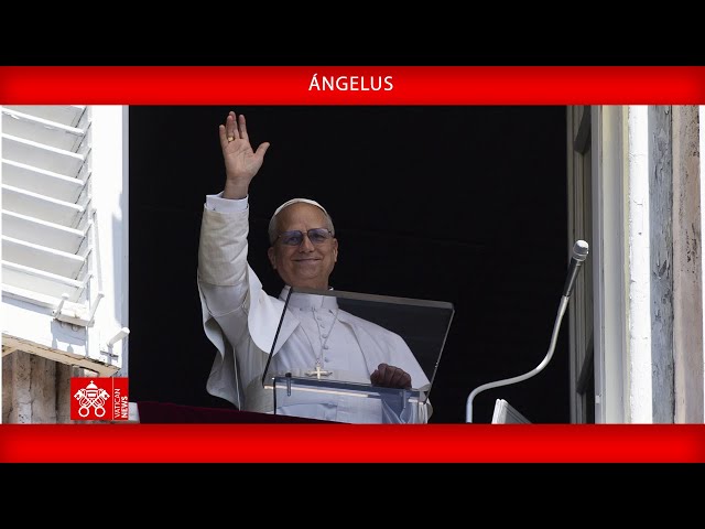 Papa León XIV: “Que callen las armas y hable la fraternidad” angelus 6 de julio de 2025 papa - 1
