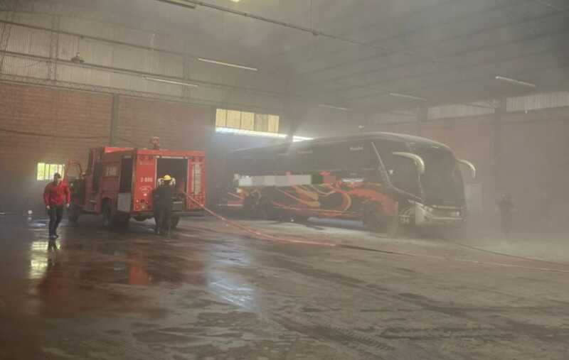 colectivo