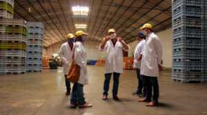 Misiones apuesta a ampliar sus mercados internacionales con capacitación gratuita cooperativa citricola alem 1 - 1
