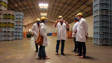 Misiones apuesta a ampliar sus mercados internacionales con capacitación gratuita cooperativa citricola alem 1 - 4