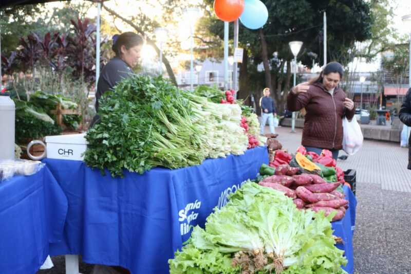 Verduras, carnes y caña con ruda: feriantes ofrecen sus productos en el centro de Posadas 6 feria Posadas productores 11 - 5