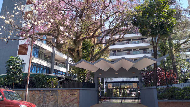 En Misiones crece la cantidad de docentes egresados, pero se estanca la matrícula en inicial, primaria y secundaria. Faltan datos y planificación territorial.