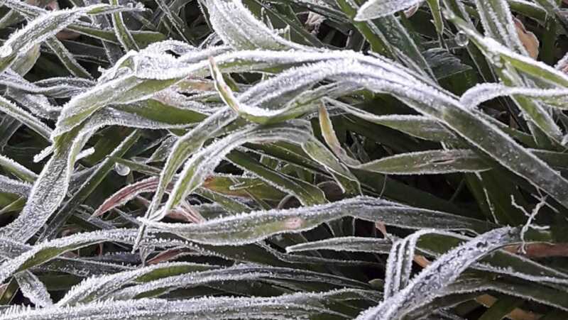 Misiones helada: las localidades con más frío polar de este miércoles 2 de julio frio helada