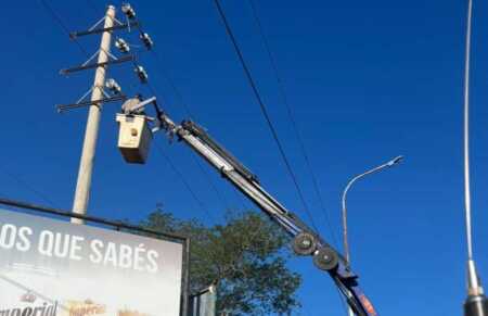 Cambios en el sistema eléctrico: desde noviembre, la energía volverá a fijarse por oferta y demanda La localidad de Puerto Iguazú fortalece su infraestructura eléctrica mediante nuevas obras ejecutadas por Energía de Misiones | cortes