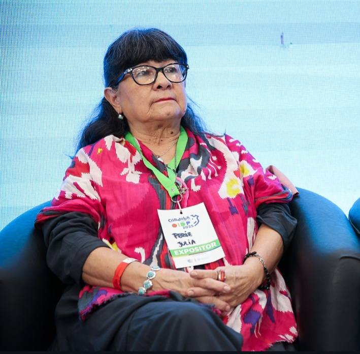 La exdiputada nacional del PJ propuso la conformación de un frente opositor amplio, integrado por el peronismo, el Partido de la Soberanía, sectores desencantados de la Renovación y fuerzas del campo nacional y popular. 