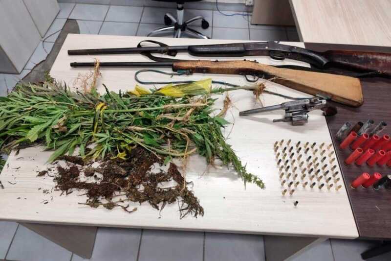 Brasil destruyó uno de los cultivos de marihuana más grande de su historia: 138 mil plantas 3 marihuana brasil 2 - 2