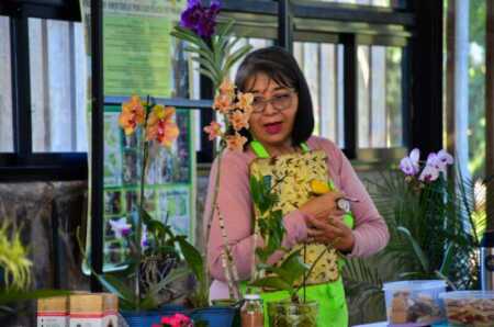 “En Misiones hay 220 especies de orquídeas”: biodiversidad que florece desde las copas hasta el suelo orquideas