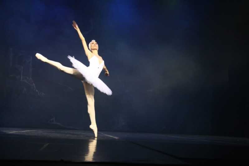 “El Lago de los Cisnes” vuelve al Parque del Conocimiento 3 El jueves 17 y viernes 18, el Ballet Clásico del Parque subirá al escenario del Teatro Lírico con una versión especial de El Lago de los Cisnes, adaptada para el público familiar.