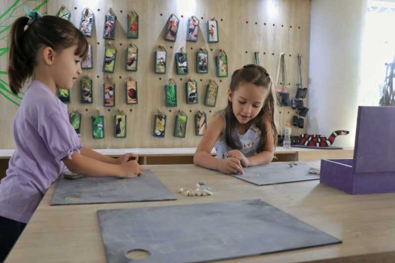 El Parque del Conocimiento inicia la agenda gratuita de vacaciones de invierno para la infancia 1 Durante las vacaciones de invierno, el Parque del Conocimiento de Misiones ofrece actividades gratuitas para niños y familias, con teatro, talleres, muestras, astronomía y más.