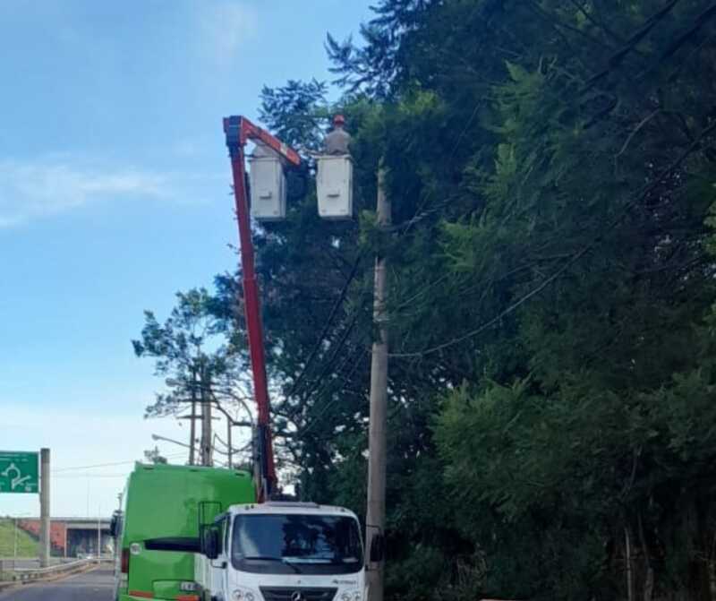 Operativo de poda programado en Posadas: cortes de energía por mantenimiento Operativo
