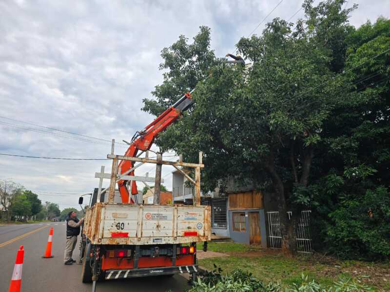 Energía de Misiones realiza Operativo de poda en Posadas: cortes programados energia de misiones
