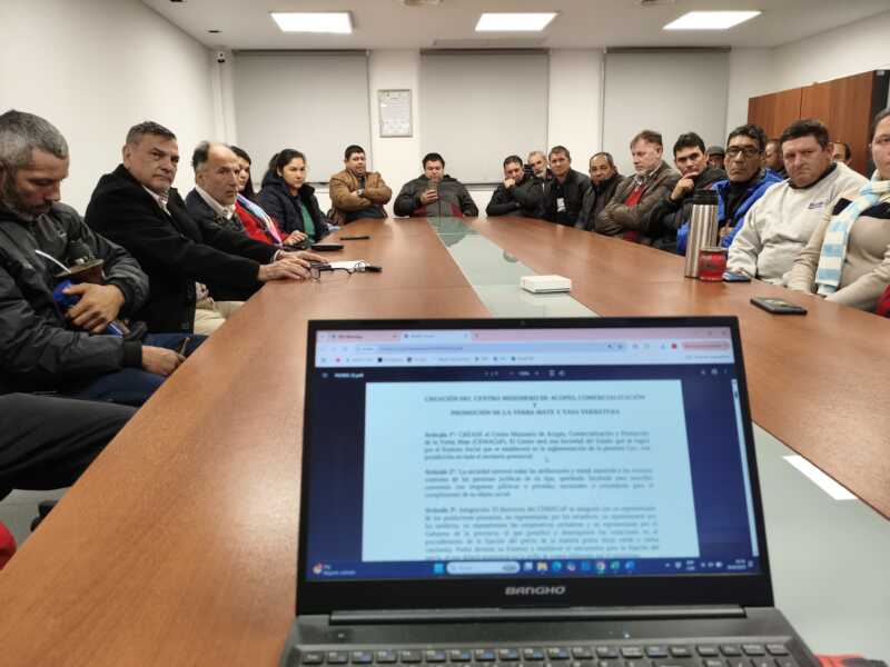 “El centro fijaría un precio justo, compraría a los secaderos que paguen ese valor a los productores y acopiaría la yerba en galpones propios o recuperados como los de la ex CRYM”, explicó.